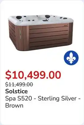 Club Piscine Spa S520 - Sterling Silver - Brown offer