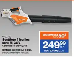 Patrick Morin Cordless Leaf Blower, 36 V offer