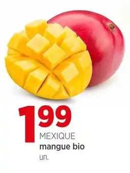 Avril Mangue bio offer