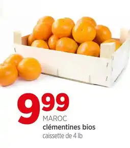 Avril Clémentines bios offer