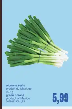 Wholesale Club OIGNONS VERTS, 907 g offer