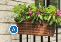 RONA Jardiniere de balcon offer