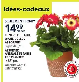 RONA ASSORTED ANNUALS IN TABLE TOP PLANTER offer