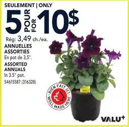 RONA VALU+ ASSORTED ANNUALS offer