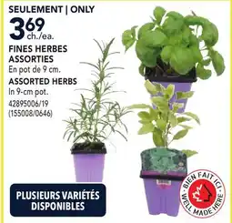 RONA ASSORTED HERBS offer