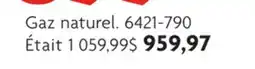 Home Hardware BBQ CROWN S 490 offer