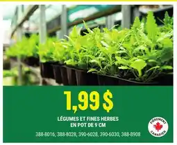 BMR LÉGUMES ET FINES HERBES EN POT DE 9 CM offer