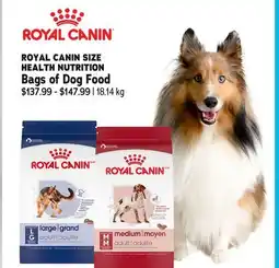 Ren’s Pets Depot ROYAL CANIN SIZE HEALTH NUTRITION Bags of Dog Food offer