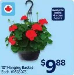 Walmart Hanging basket offer