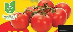 No Frills Tomatoes on the vine offer