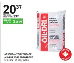 BMR ABSORBANT TOUT USAGE offer