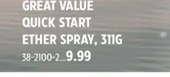 Canadian Tire GREAT VALUE QUICK START ETHER SPRAY, 311G offer
