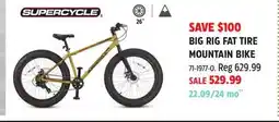 Canadian Tire SUPERCYCLE BIG RIG FAT TIRE MOUNTAIN BIKE offer