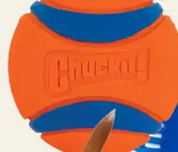 Petvalu Chuckit! Rugged Flyer Assorted all Launcher 26M Dog Toys offer