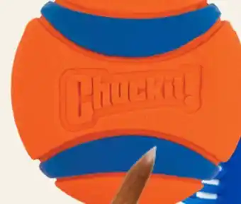 Petvalu Chuckit! Rugged Flyer Assorted all Launcher 26M Dog Toys offer