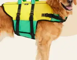 Petvalu JUMP! Dog Peddle Life Vest offer