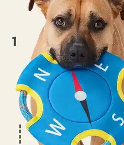 Petvalu JUMP! Compass Blue Flyer Dog Toy offer