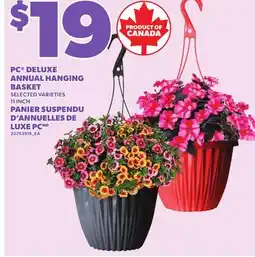Independent City Market PANIER SUSPENDU D'ANNUELLES DE LUXE PC, 11 INCH offer