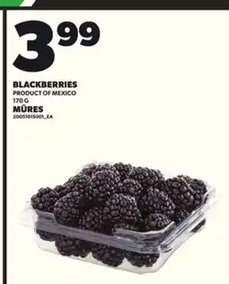 Independent City Market MÛRES, 170 G offer
