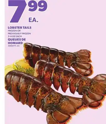 Independent City Market QUEUES DE HOMARD, 3-4 OZ offer