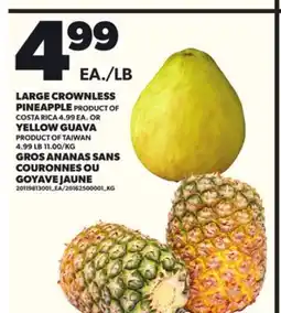 Independent City Market GROS ANANAS SANS COURONNES OU GOYAVE JAUNE offer