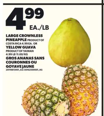 Independent City Market GROS ANANAS SANS COURONNES OU GOYAVE JAUNE offer