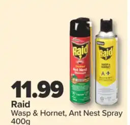 PharmaChoice Raid Wasp & Hornet, Ant Nest Spray offer