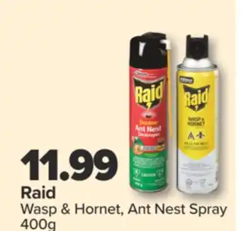 PharmaChoice Raid Wasp & Hornet, Ant Nest Spray offer
