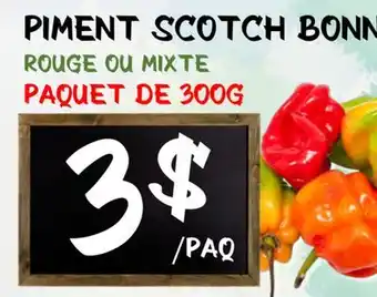 Marche Salaberry PIMENT SCOTCH BONNET offer