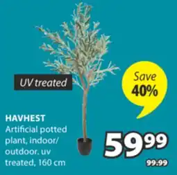 JYSK HAVHEST Artificial potted plant offer