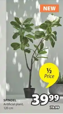 JYSK SPINDEL Artificial plant offer