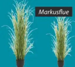 JYSK Markusflue offer