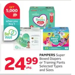 Rexall PAMPERS Super Boxed Diapers or Training Pants offer