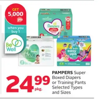 Rexall PAMPERS Super Boxed Diapers or Training Pants offer