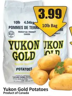 Starsky Yukon Gold Potatoes offer