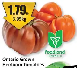 Starsky Ontario Grown Heirloom Tomatoes offer
