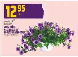 Gagnon - La Grande Quincaillerie JARDINIÈRE SUSPENDUE 11 COULEURS ASSORTIES offer
