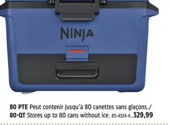 Canadian Tire 80 QT Stores offer