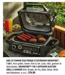 Canadian Tire WOODFIRE 7-IN-1 OUTDOOR ELECTRIC GRILL & SMOKER offer
