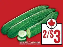 Food Basics SEEDLESS CUCUMBERS offer
