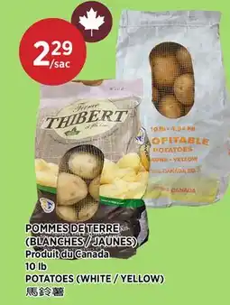 Kim Phat POTATOES (WHITE / YELLOW) offer