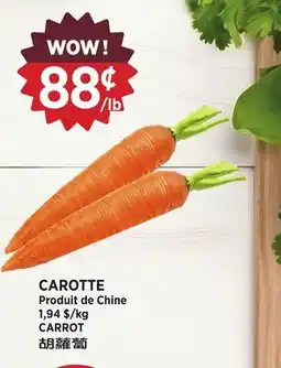 Kim Phat CARROT offer