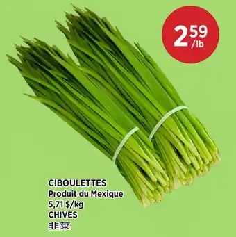 Kim Phat CHIVES offer
