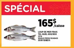 Kim Phat WHOLE FRESH SEABASS 600/800 offer