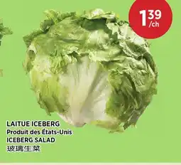 Kim Phat ICEBERG SALAD offer