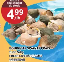 Kim Phat FRESH LIVE BOURGOTS offer