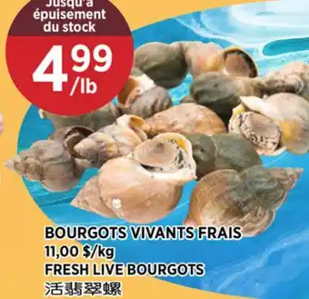 Kim Phat FRESH LIVE BOURGOTS offer