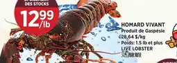 Kim Phat LIVE LOBSTER offer