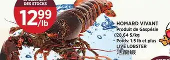 Kim Phat LIVE LOBSTER offer