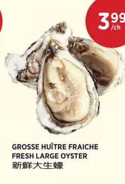 Kim Phat FRESH LARGE OYSTER offer